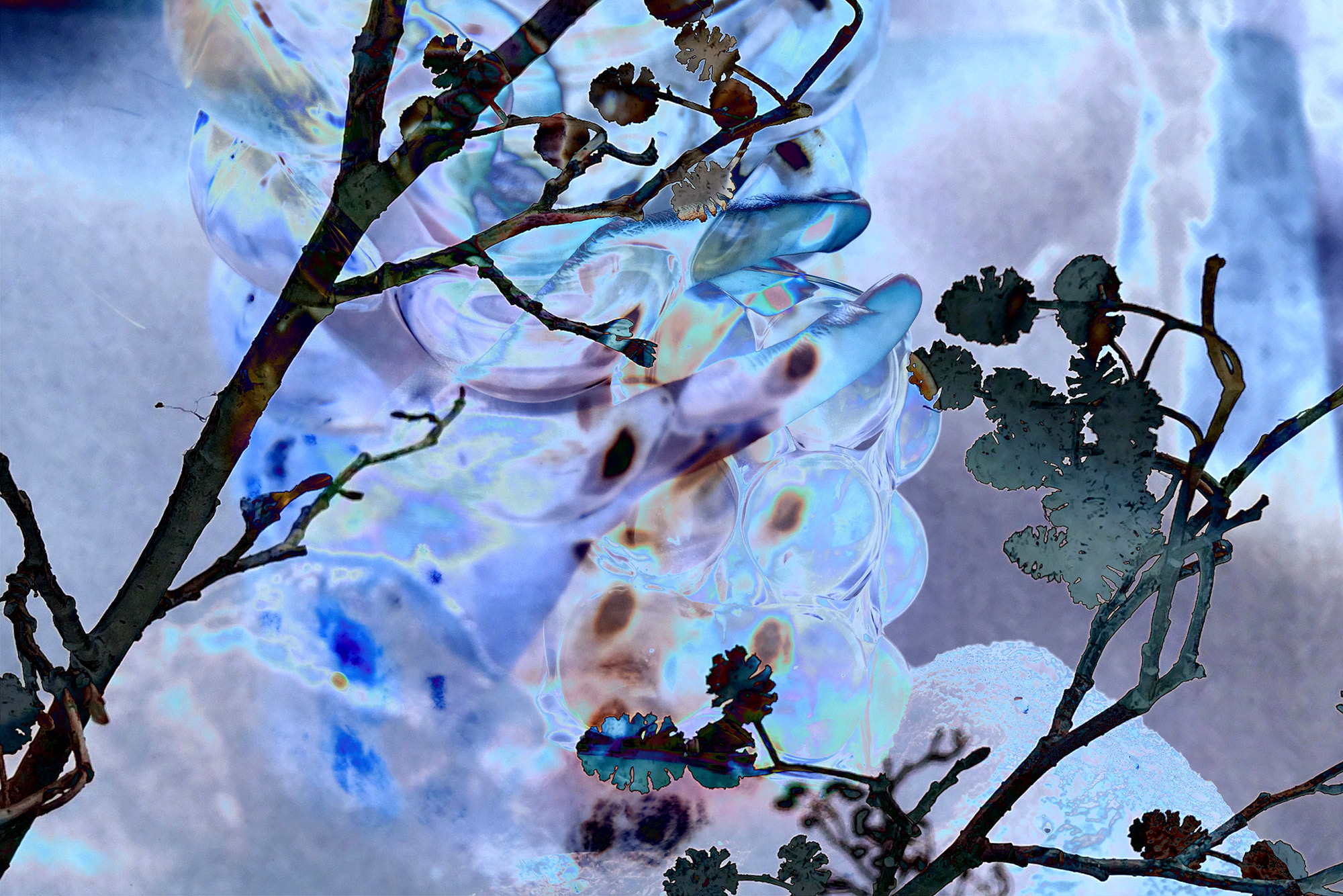 Cocoon Under the Moonlit Sky 1 — contemporary digital collage on inner silence, 2025