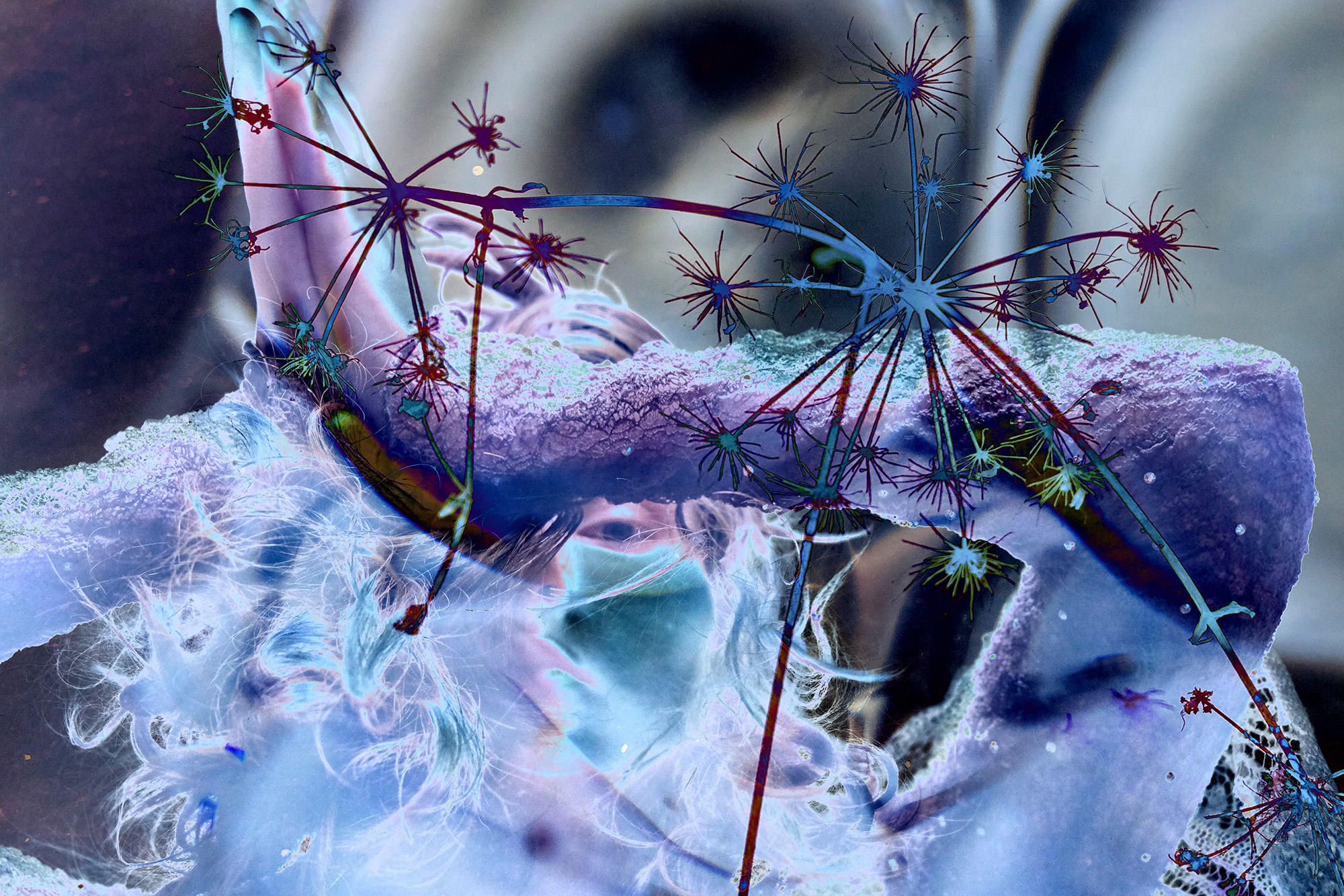 Cocoon Under the Moonlit Sky 2 — visual art on cycles of nature, 2025