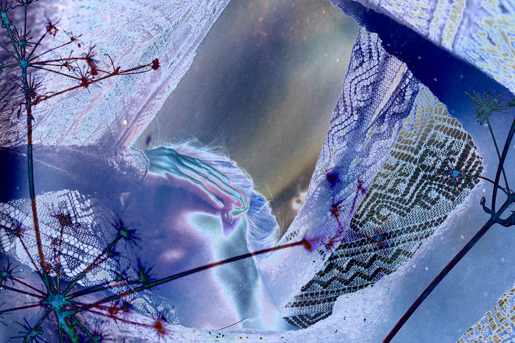 Cocoon Under the Moonlit Sky 3 — expanded photography collage, 2025