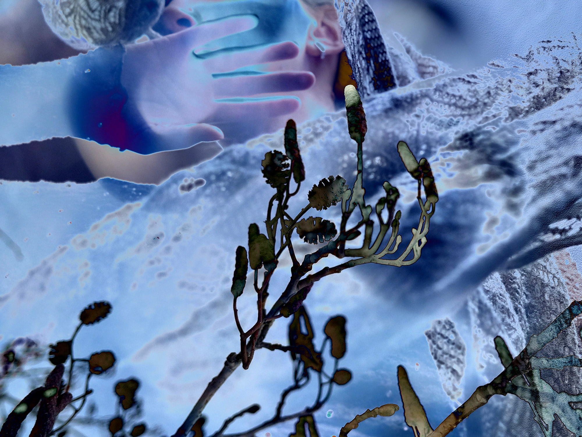 Cocoon Under the Moonlit Sky 5 — visual art on inner garden, 2025
