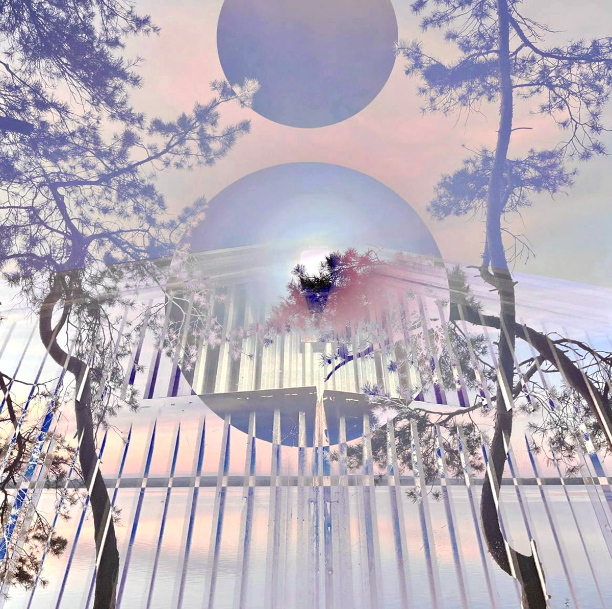 Exhibition view: digital collage and mixed media at Darwin Museum