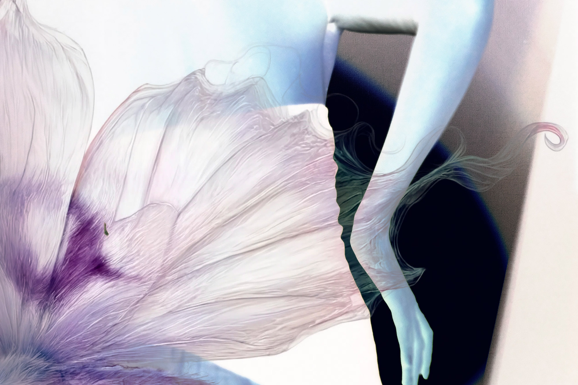 Embodiment 2 — expanded photography and collage, 2026
