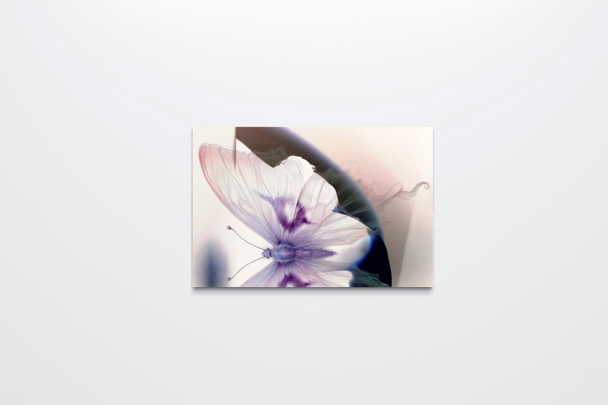 Embodiment 5 — contemporary collage and photography, 2026