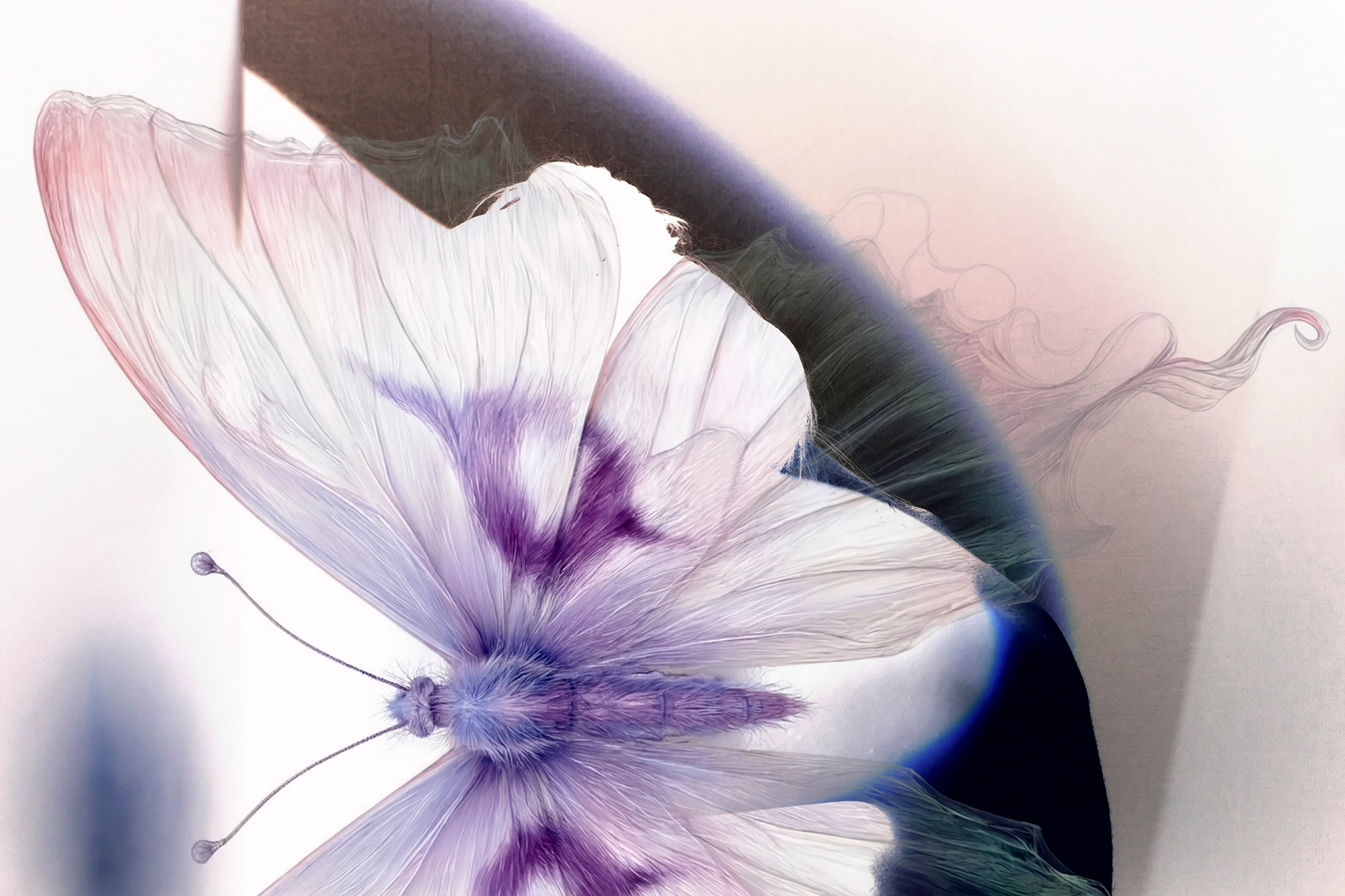 Embodiment 10 — digital collage and photography, 2026