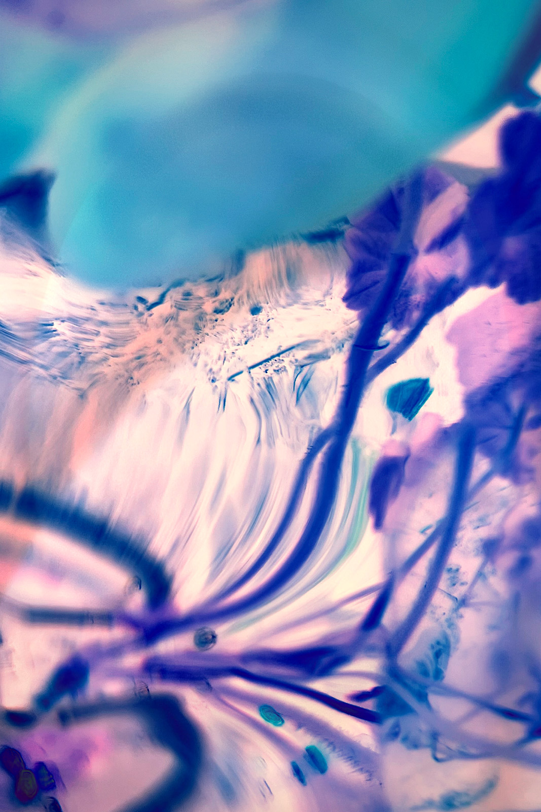 Forming 3 — expanded photography and collage, 2026