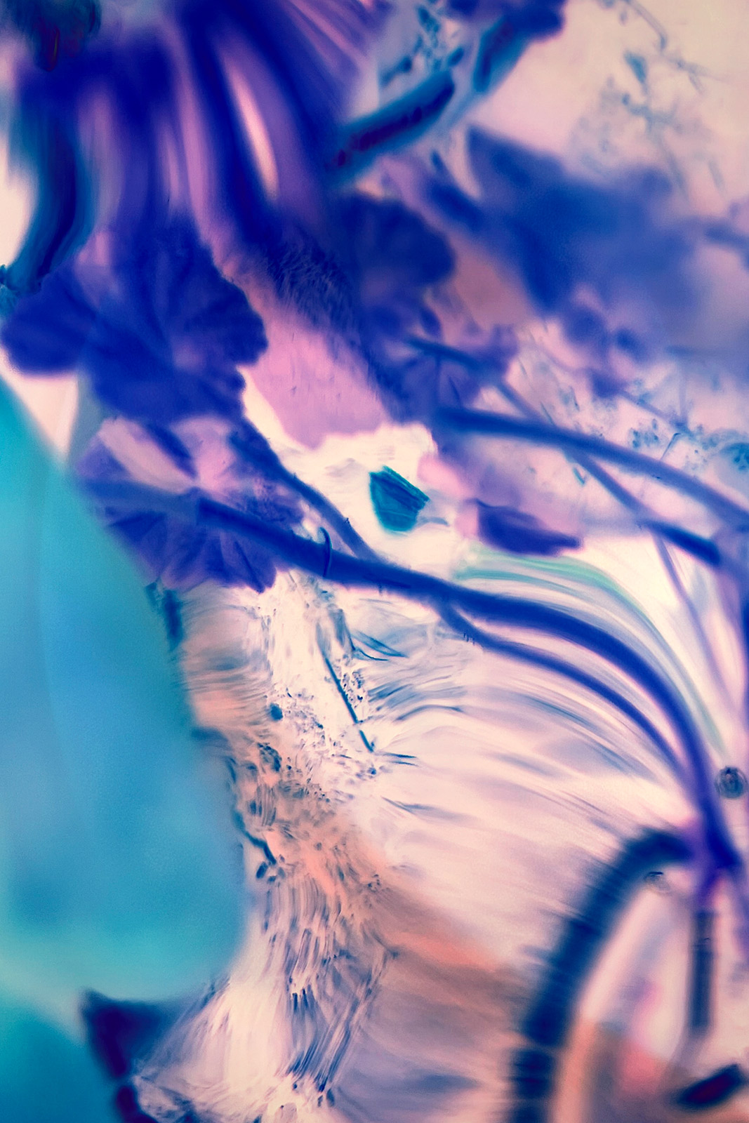 Forming 1 — mixed media artwork, 2026